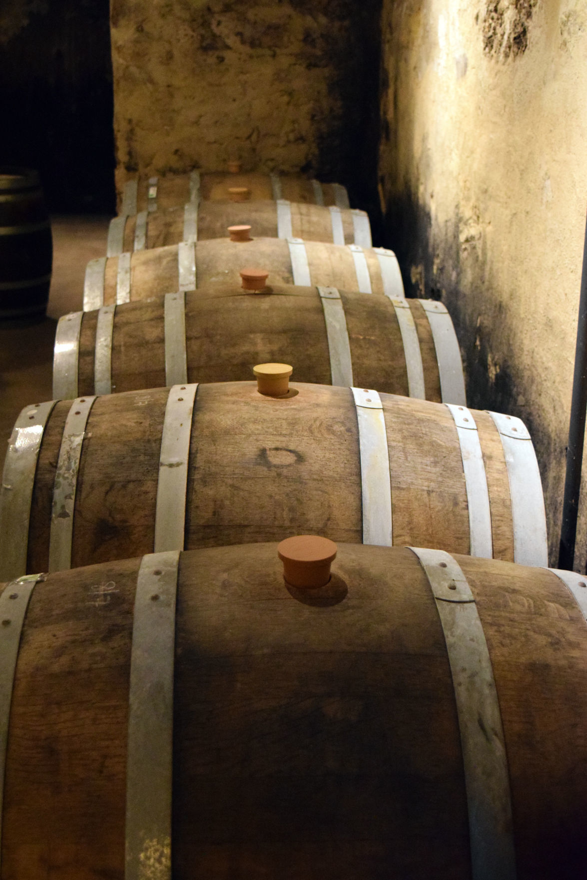 112518-sauk-gallery-wine016